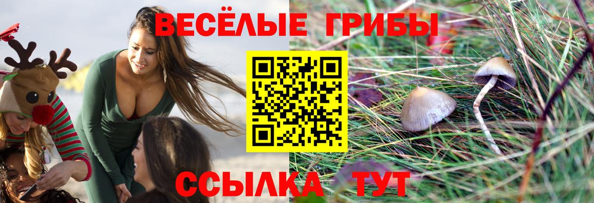 Псилоцибиновые грибы ЛСД Ессентуки